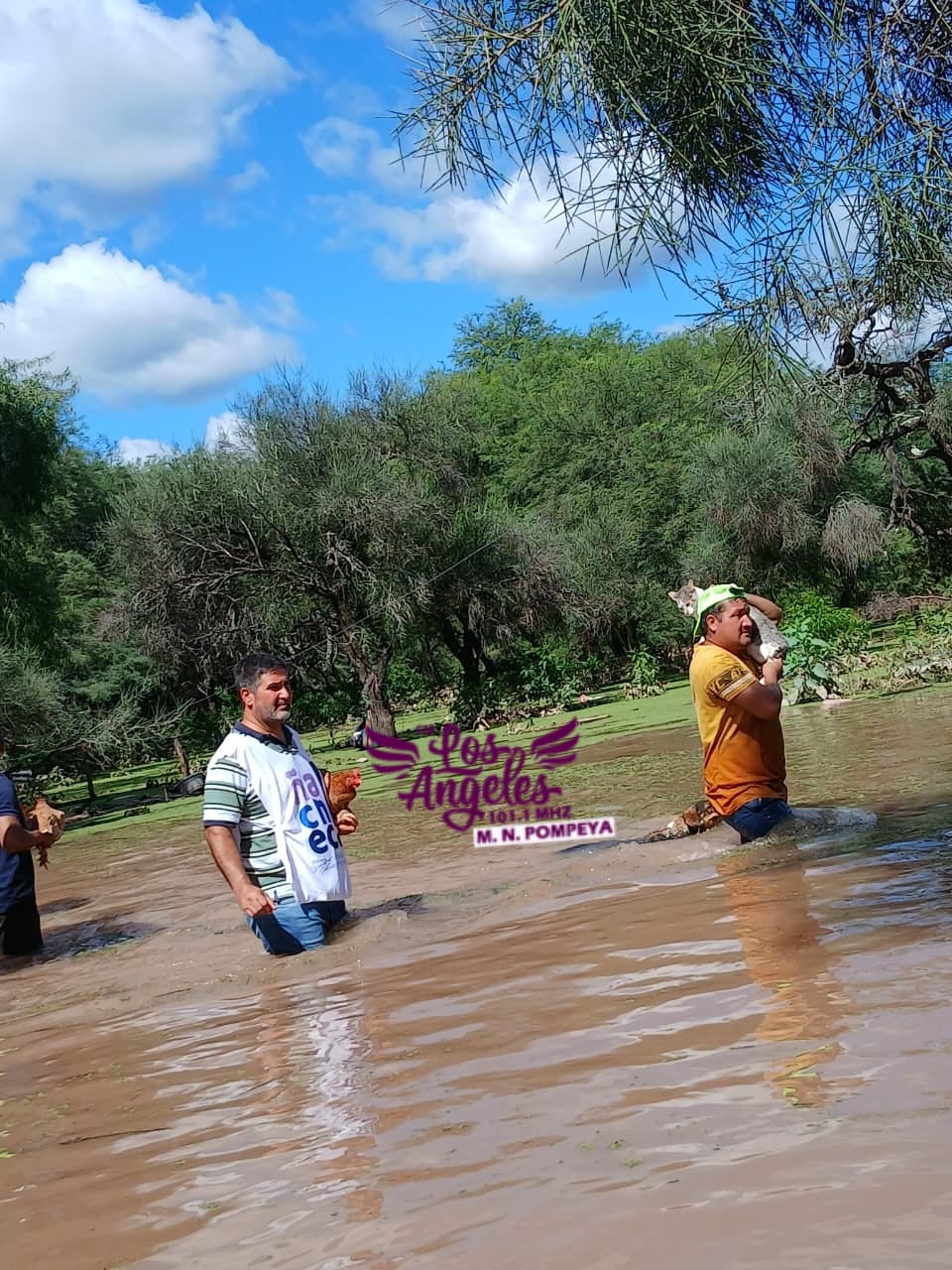 Imagen adicional