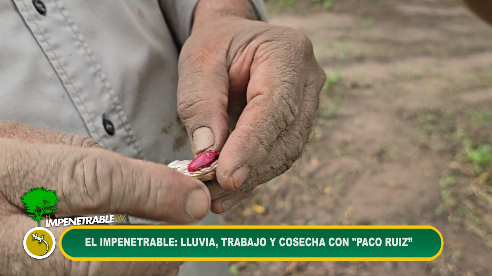 Imagen adicional