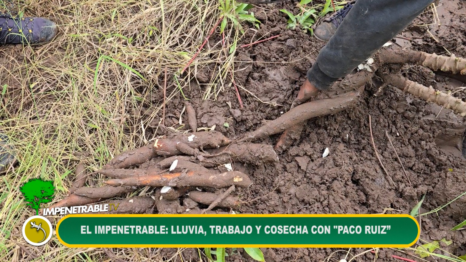 Imagen adicional