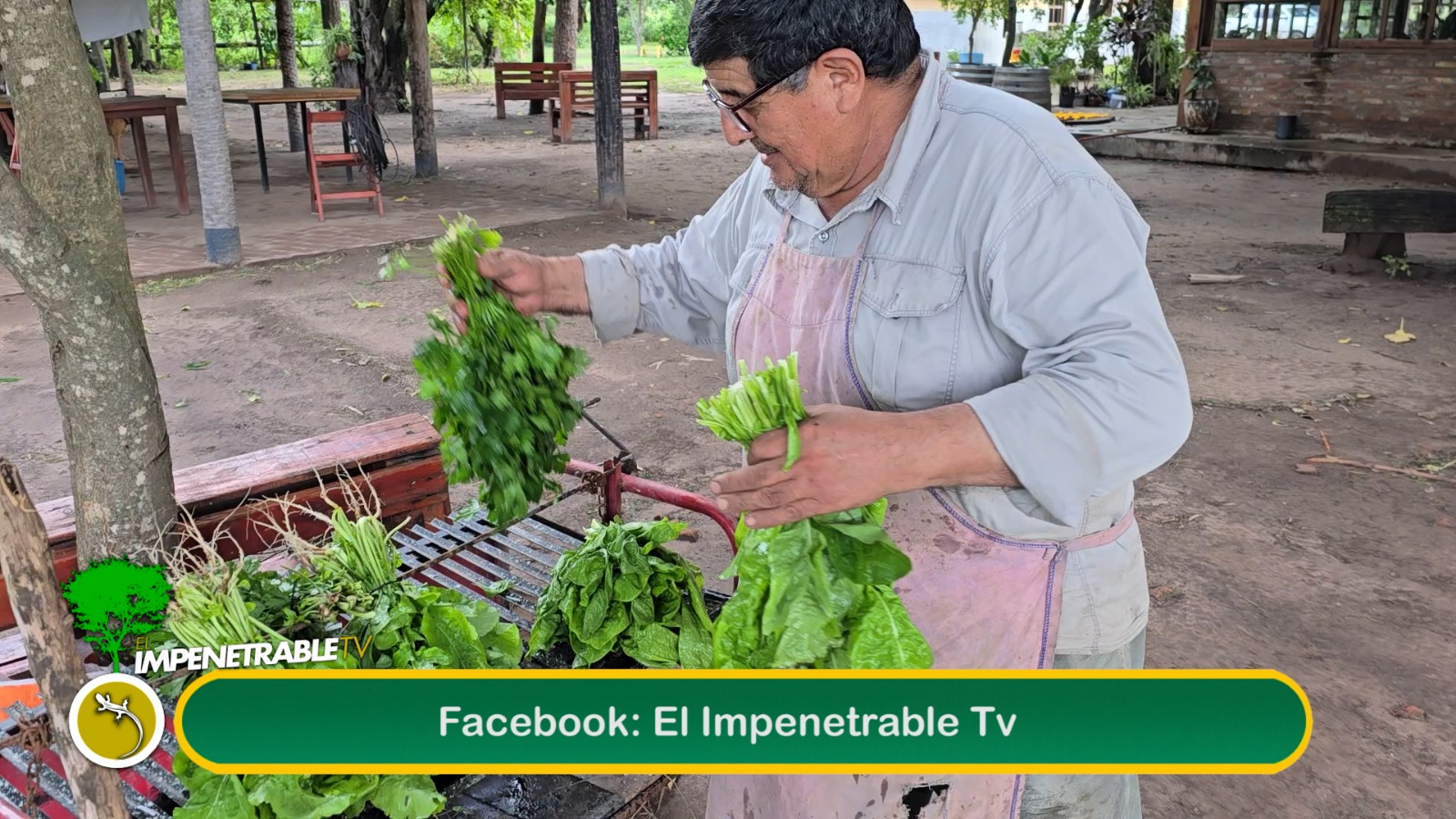Imagen adicional
