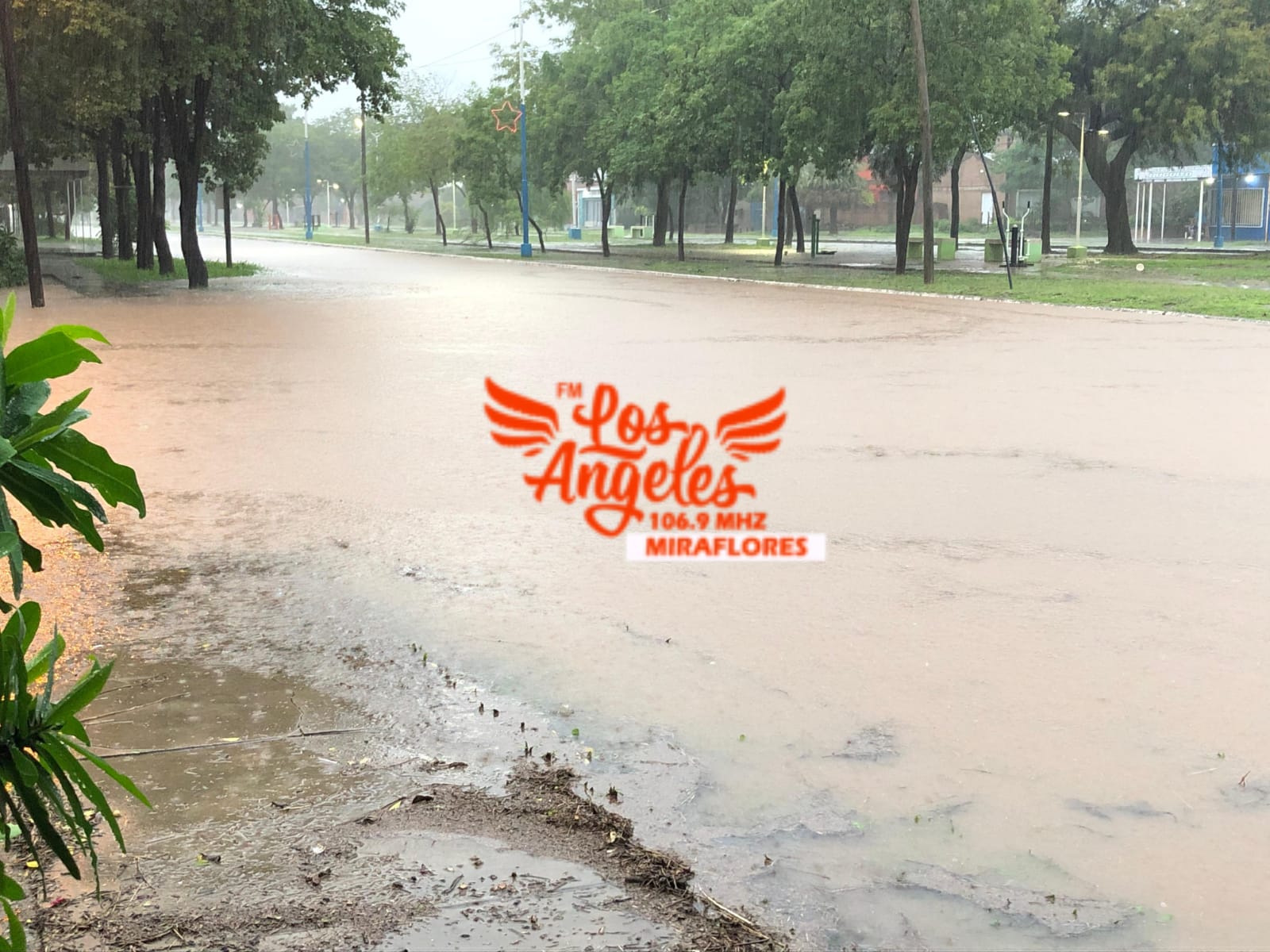 Imagen adicional