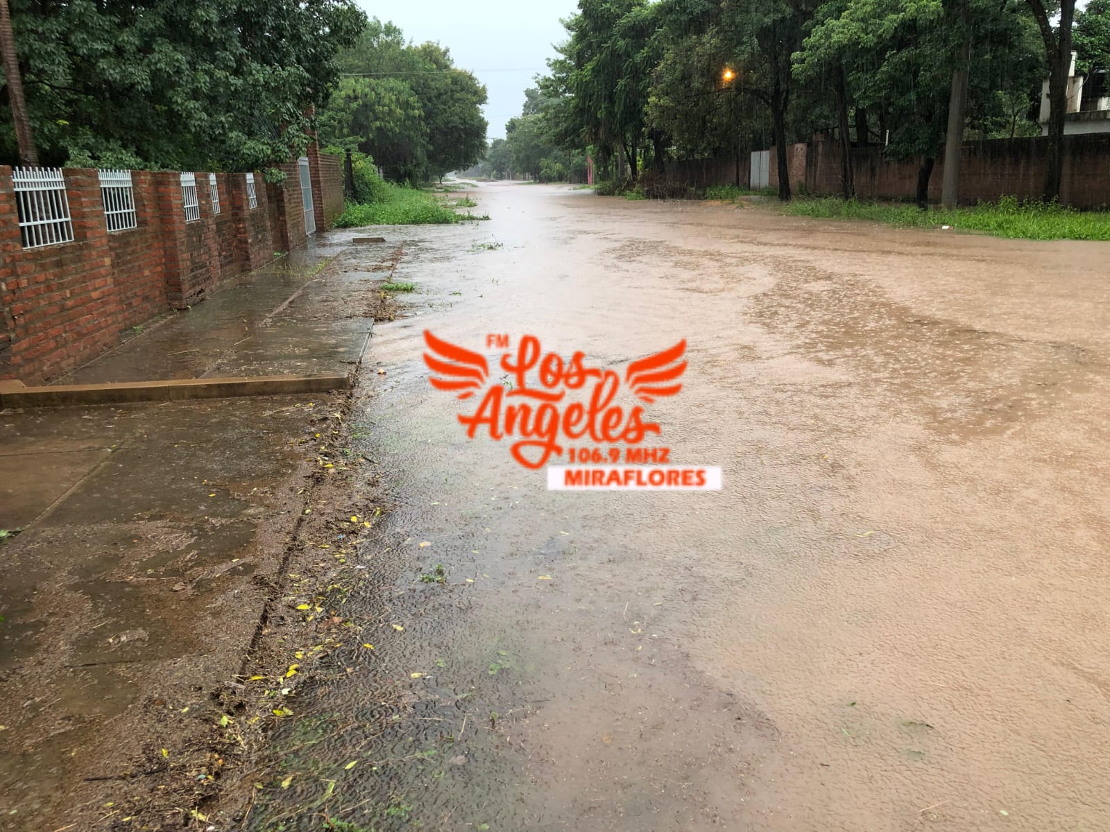 Imagen adicional