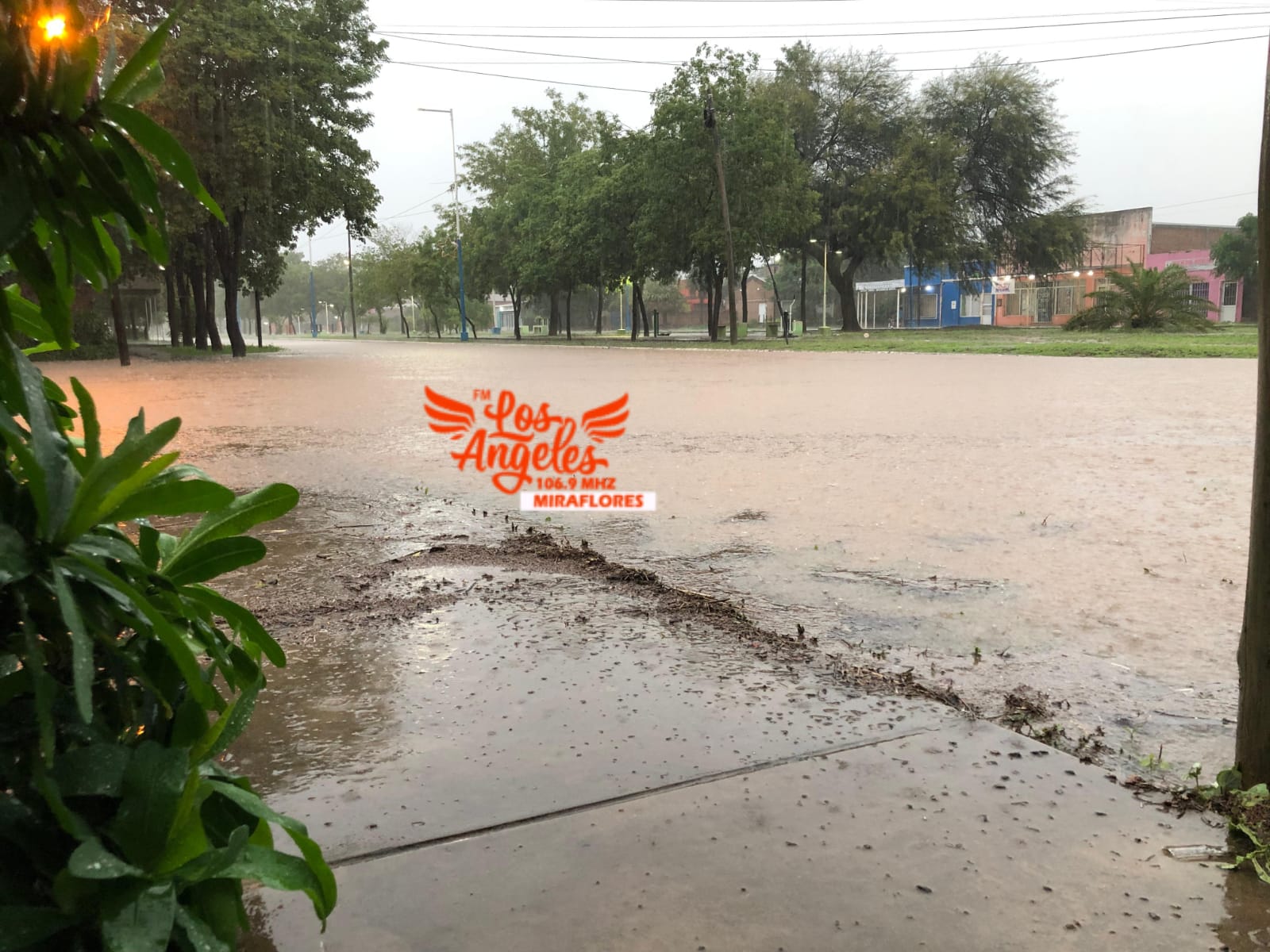 Imagen adicional