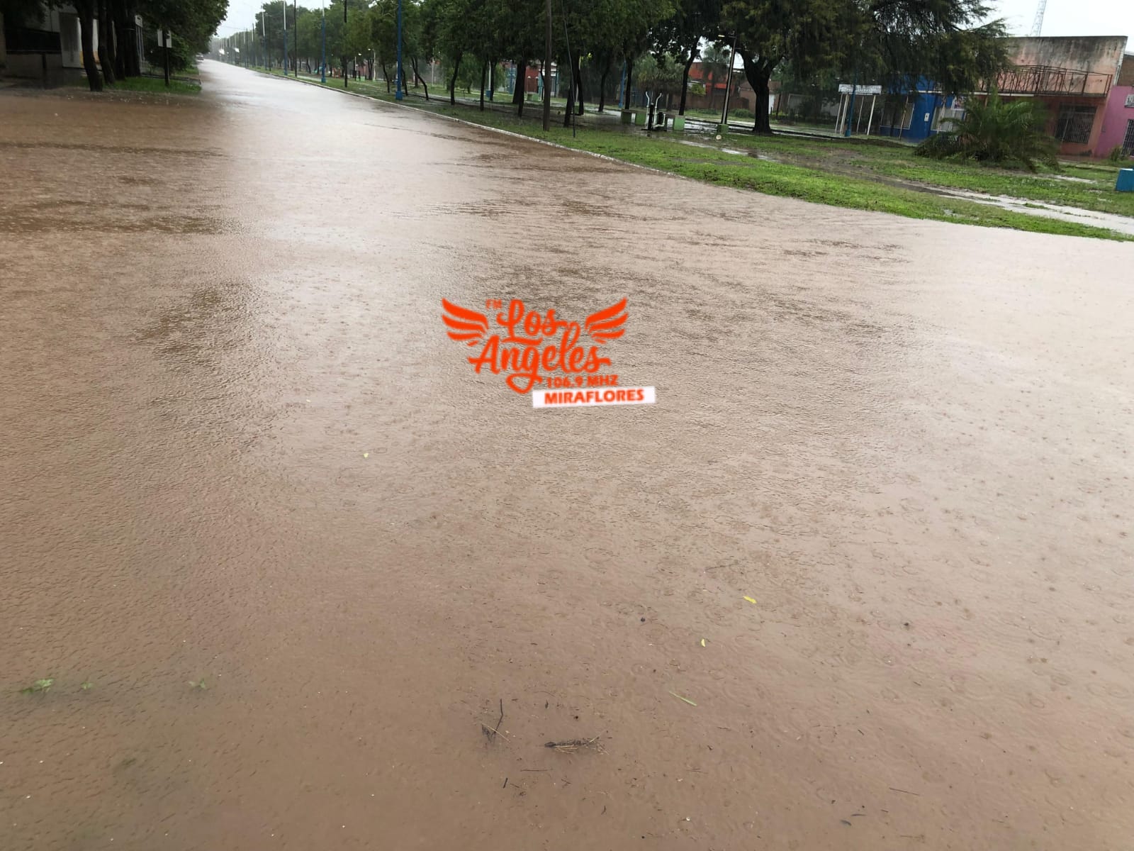 Imagen adicional