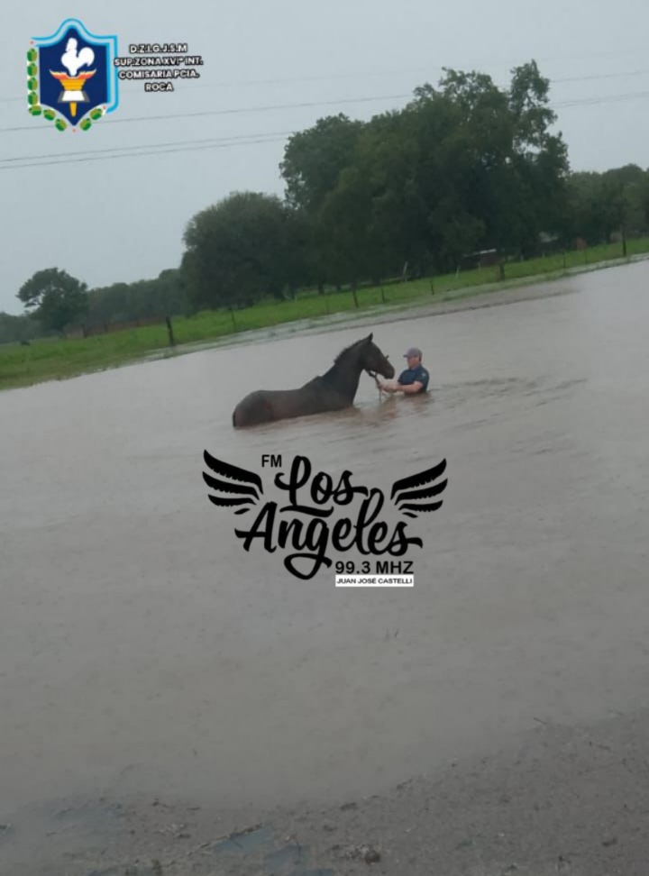 Imagen adicional