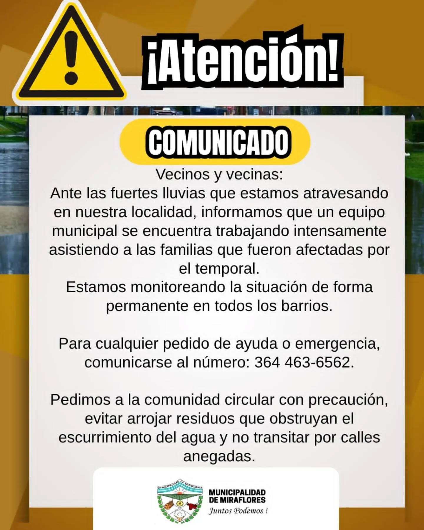 Imagen adicional