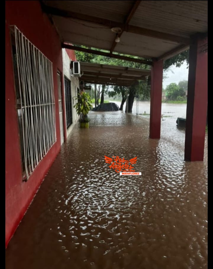 Imagen adicional