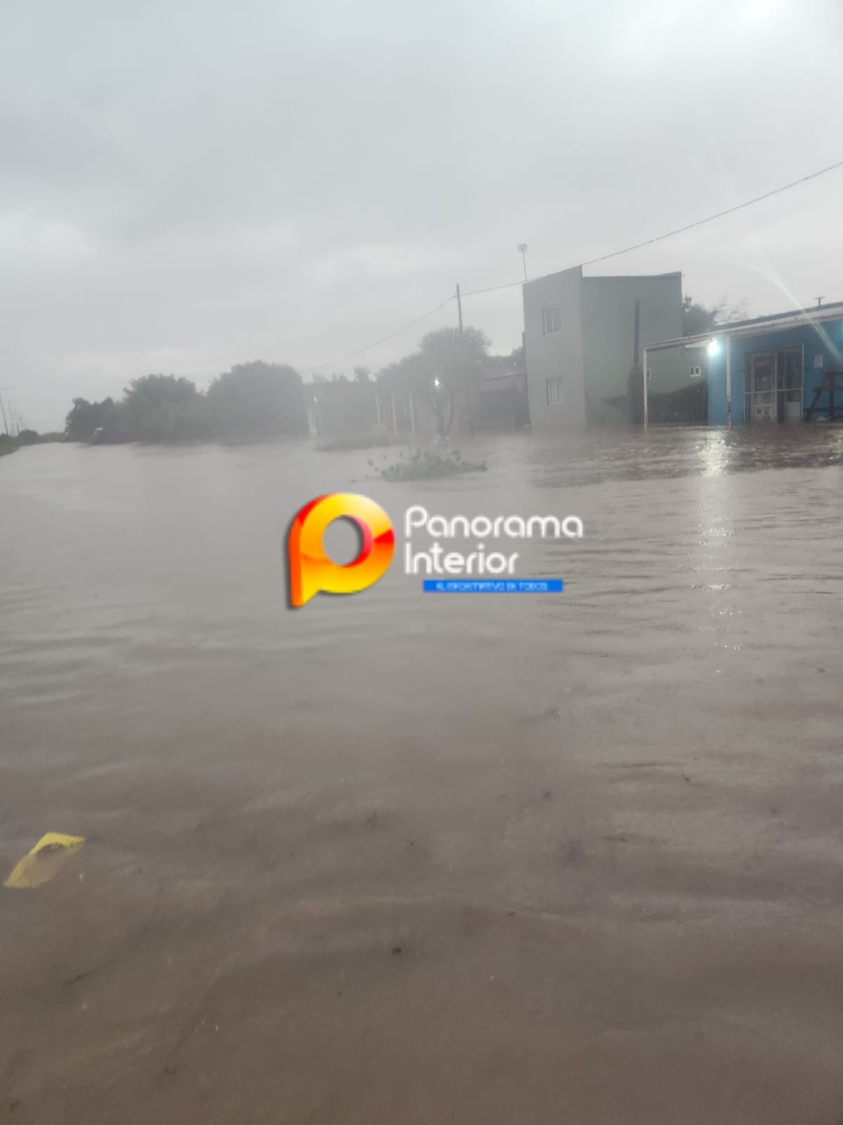 Imagen adicional