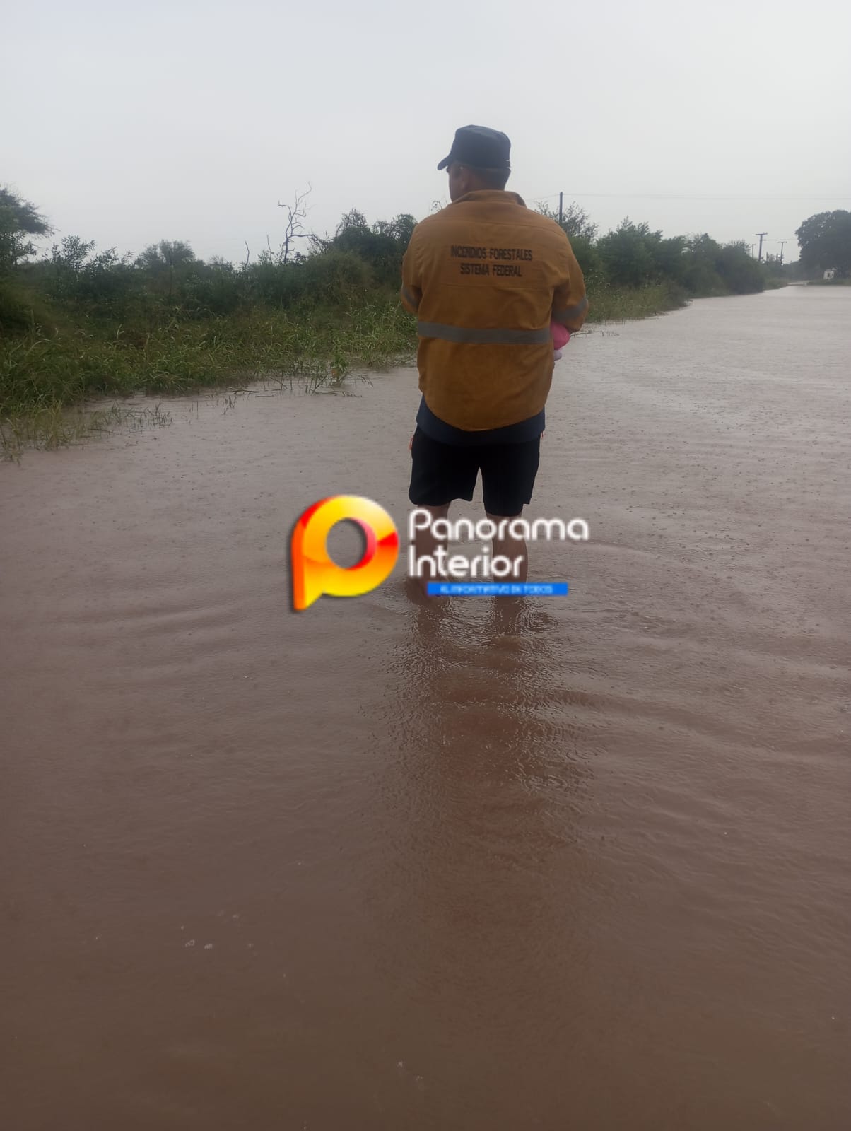 Imagen adicional
