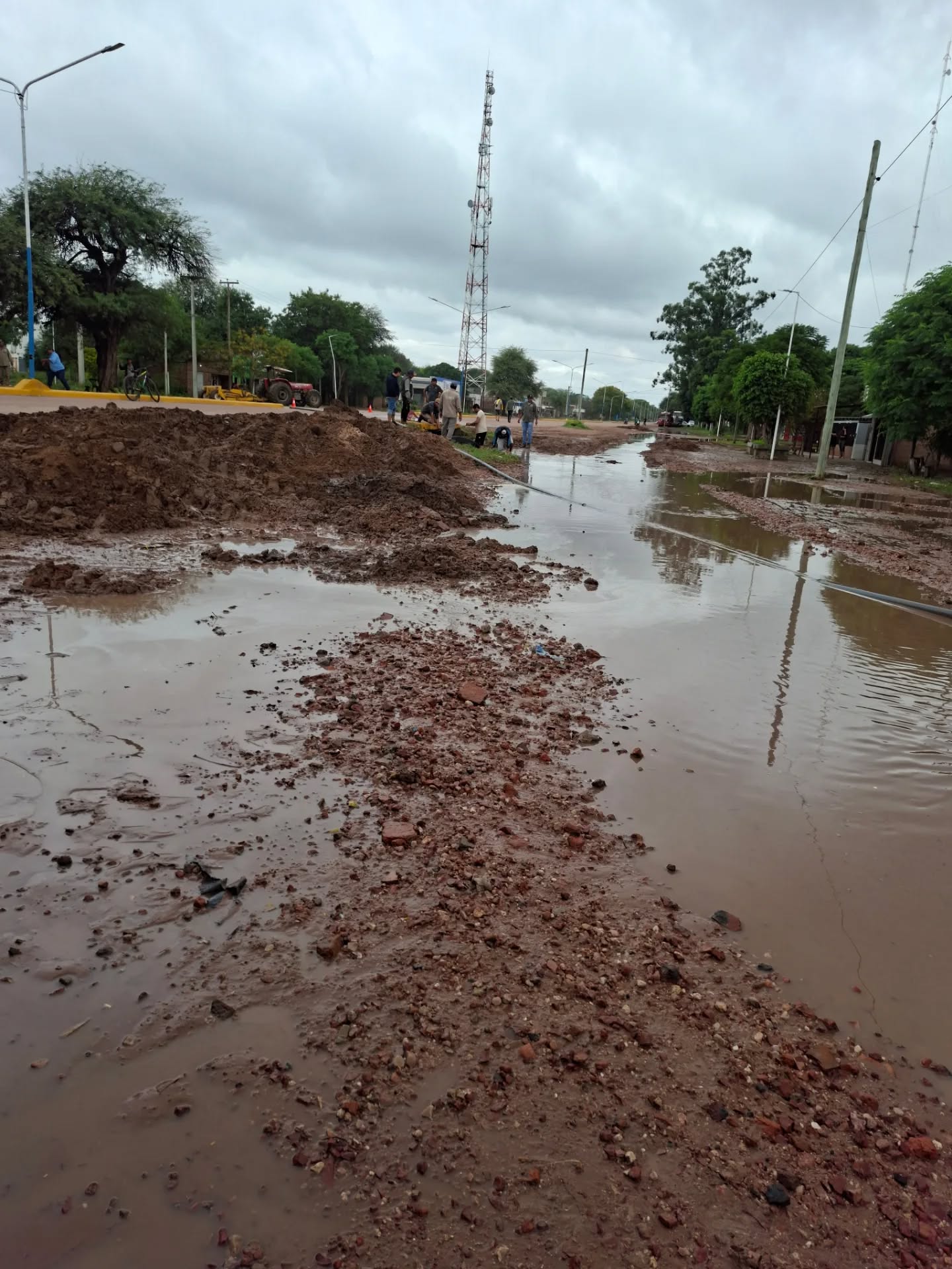 Imagen adicional