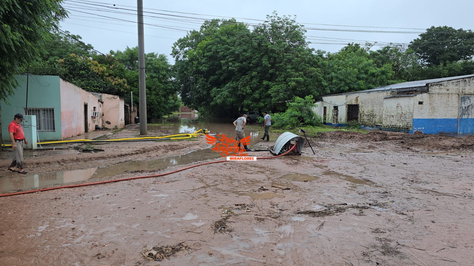 Imagen adicional
