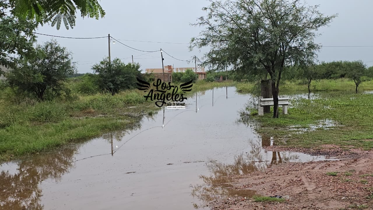Imagen adicional