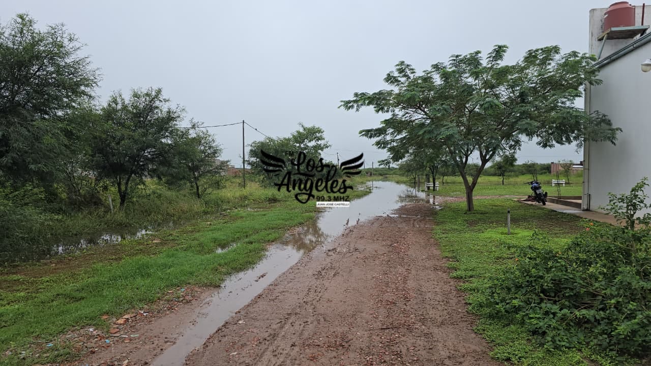 Imagen adicional