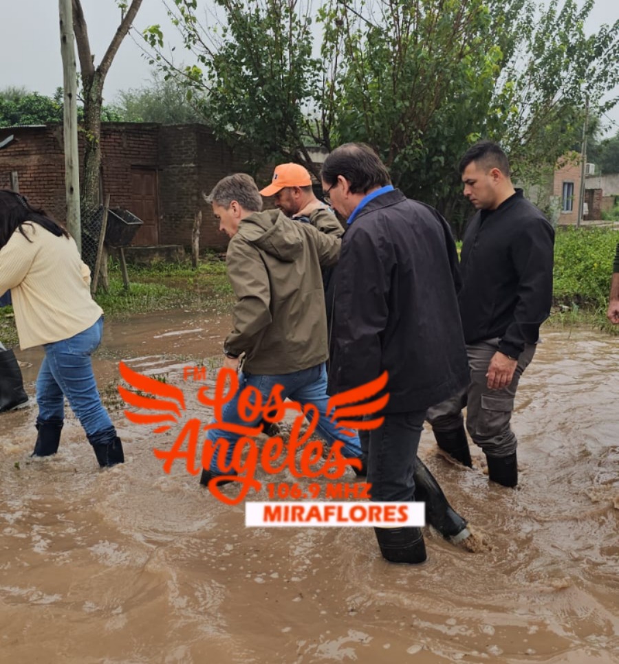 Imagen adicional