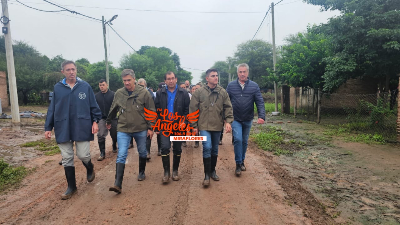 Imagen adicional