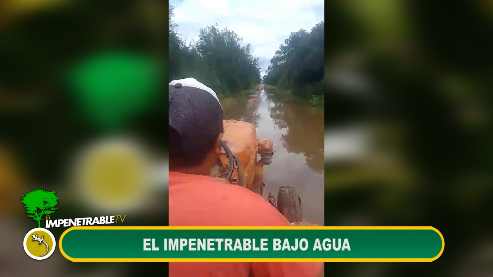 Imagen adicional