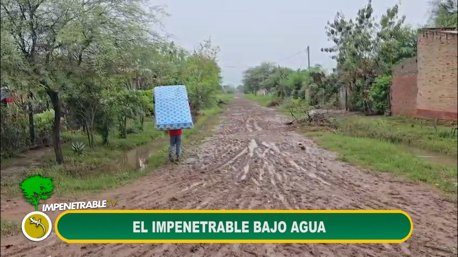 Imagen adicional