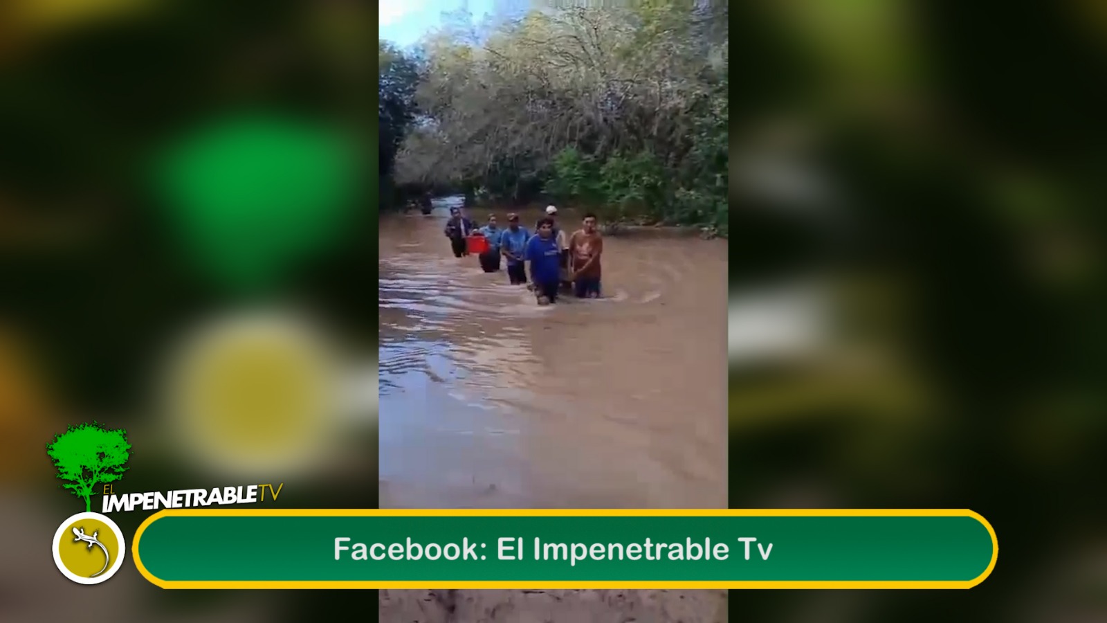Imagen adicional