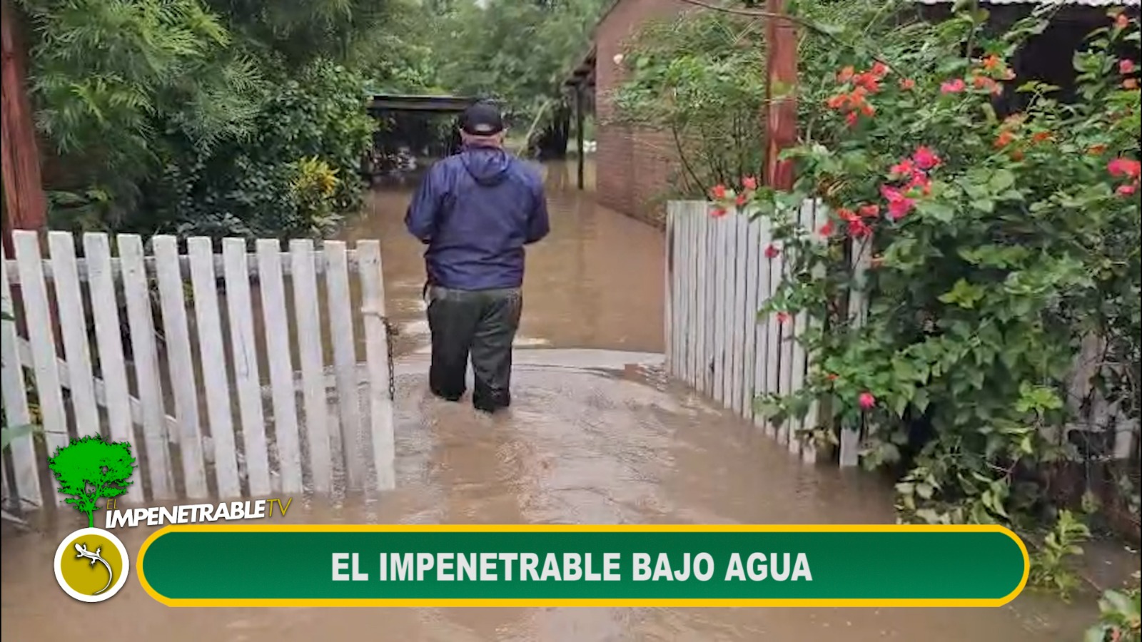 Imagen adicional