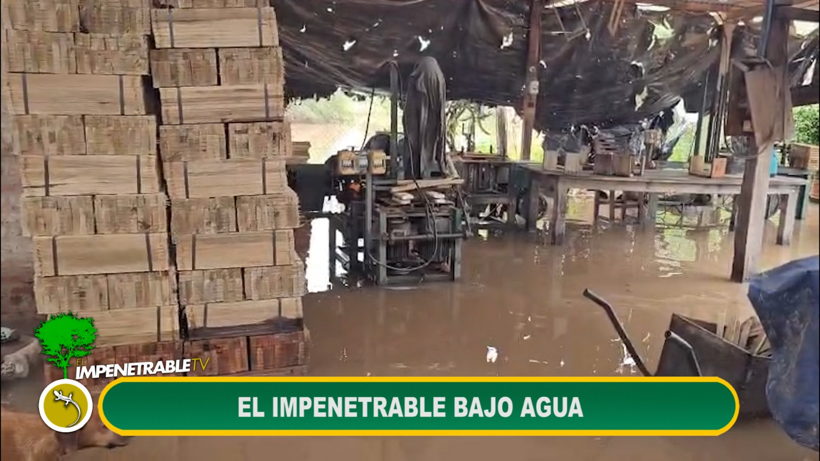 Imagen adicional