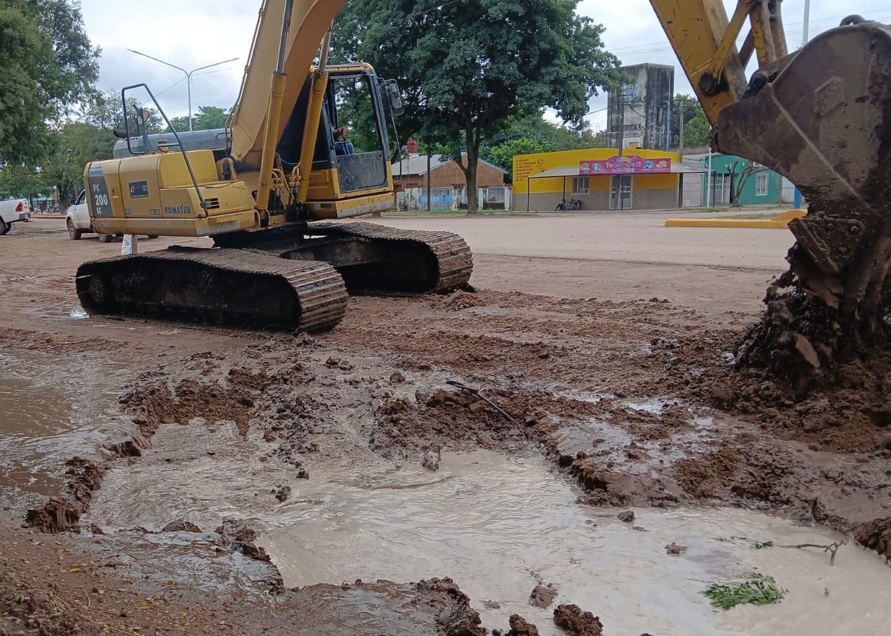 Imagen adicional