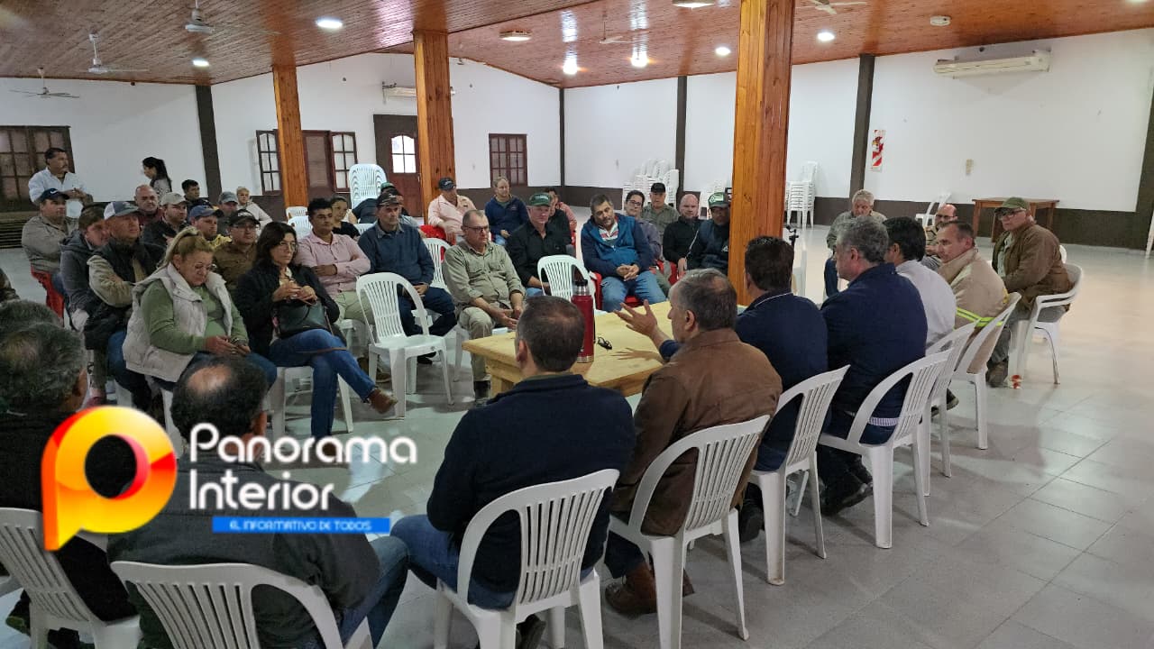 Imagen adicional