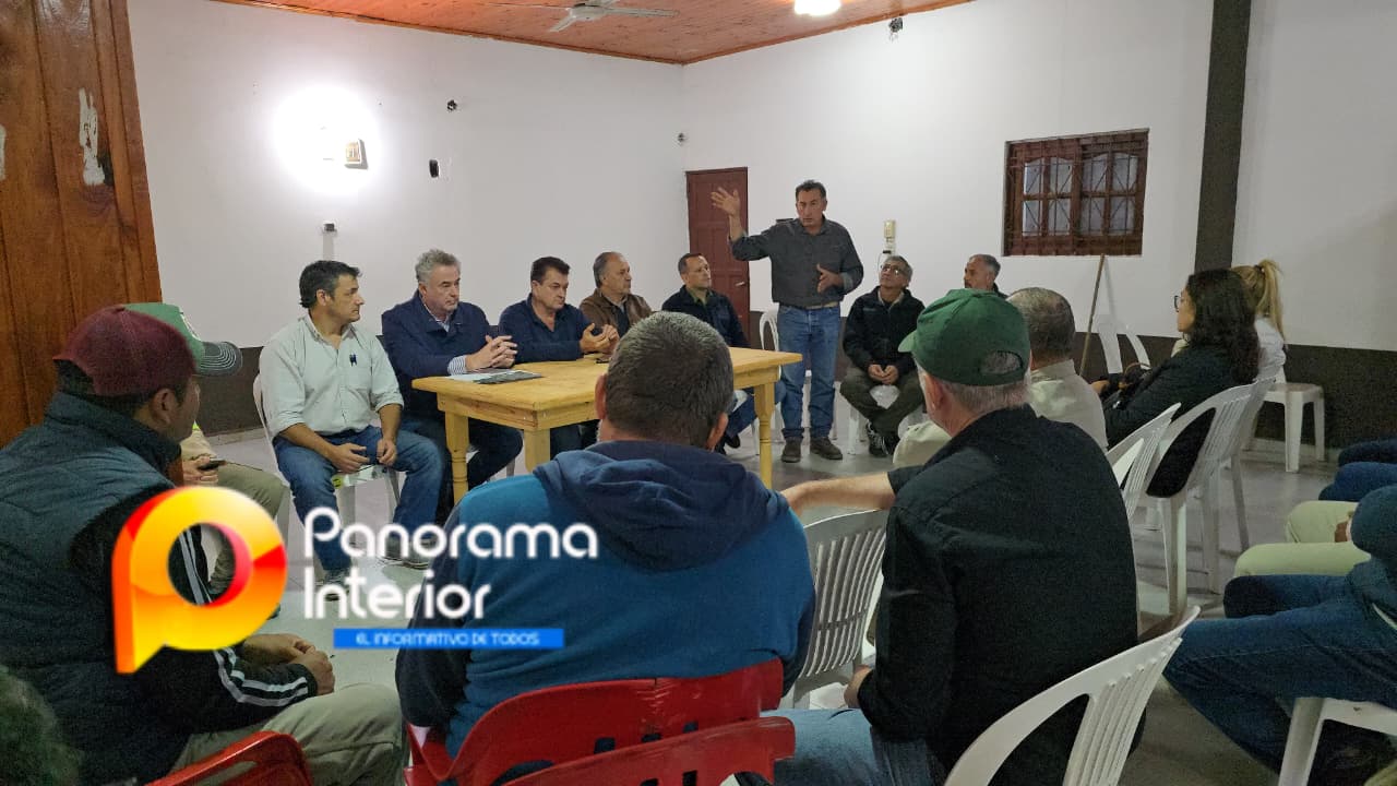 Imagen adicional