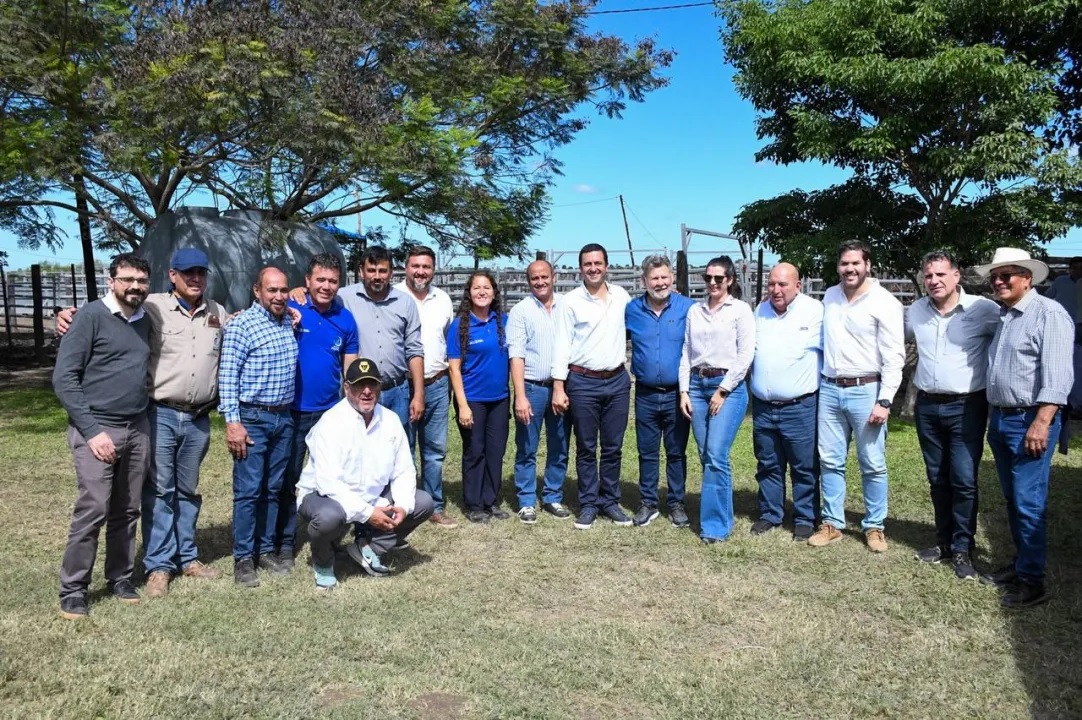Imagen adicional