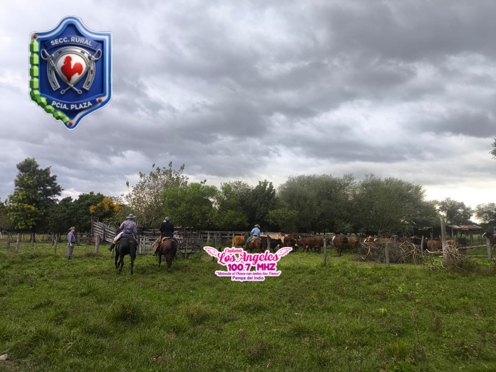 Imagen adicional