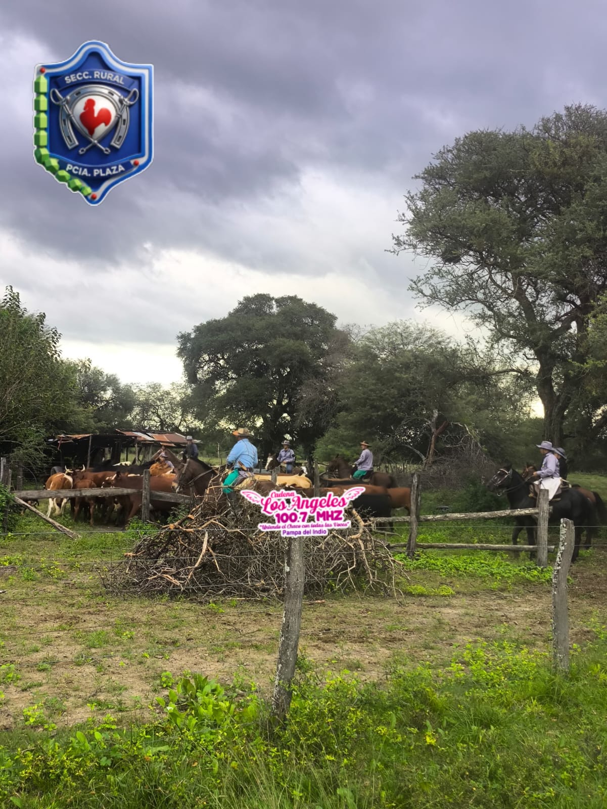 Imagen adicional