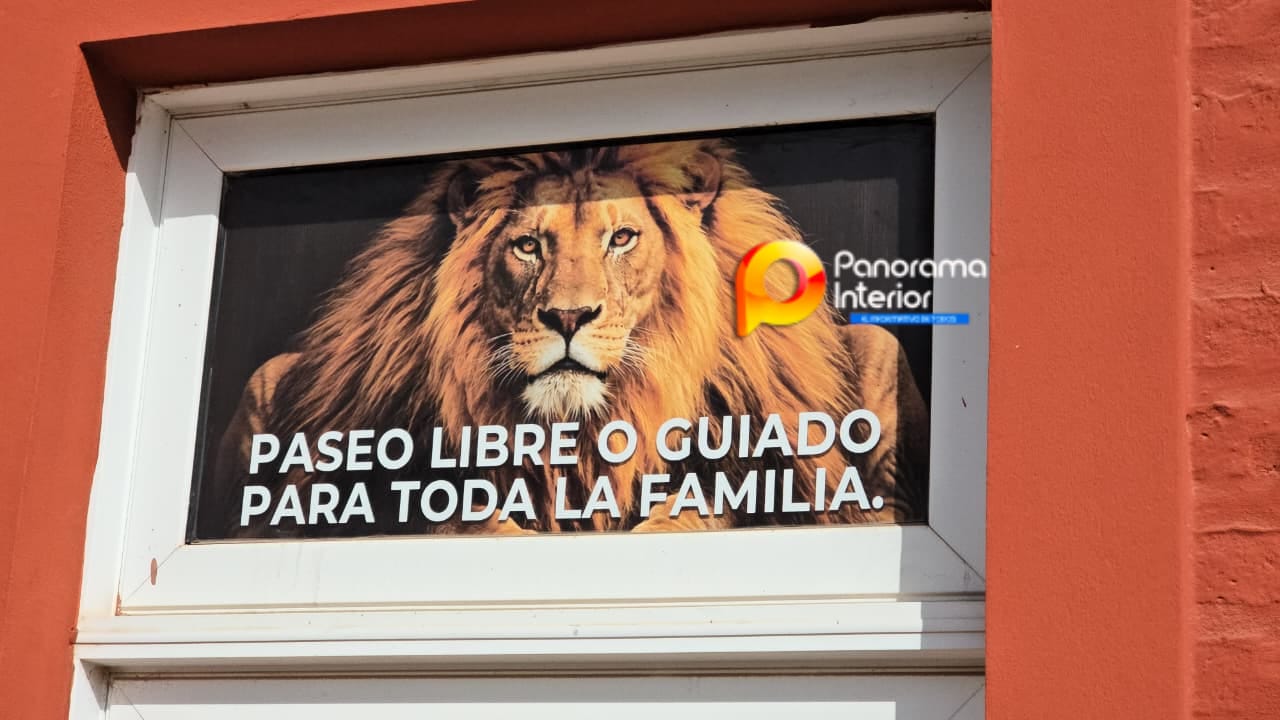 Imagen adicional