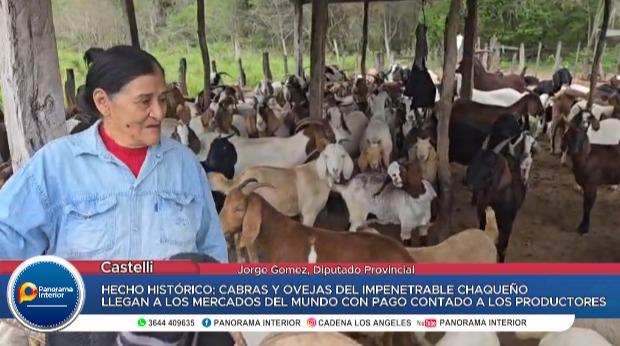Imagen adicional