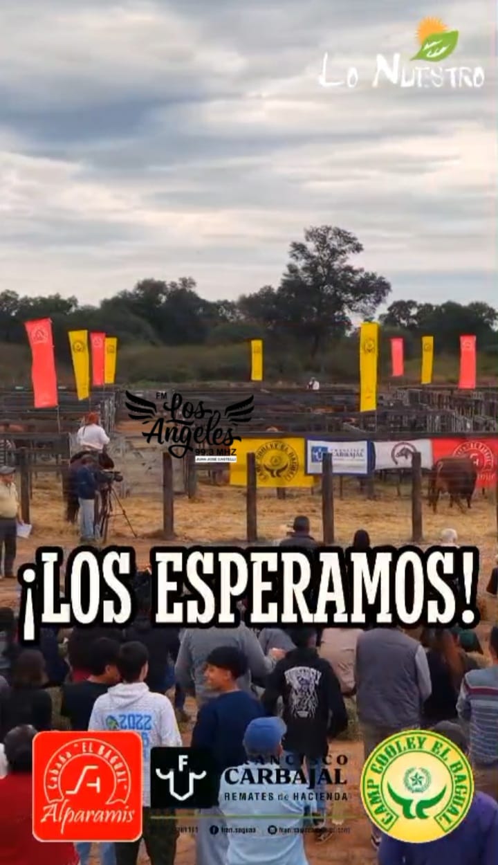 Imagen adicional
