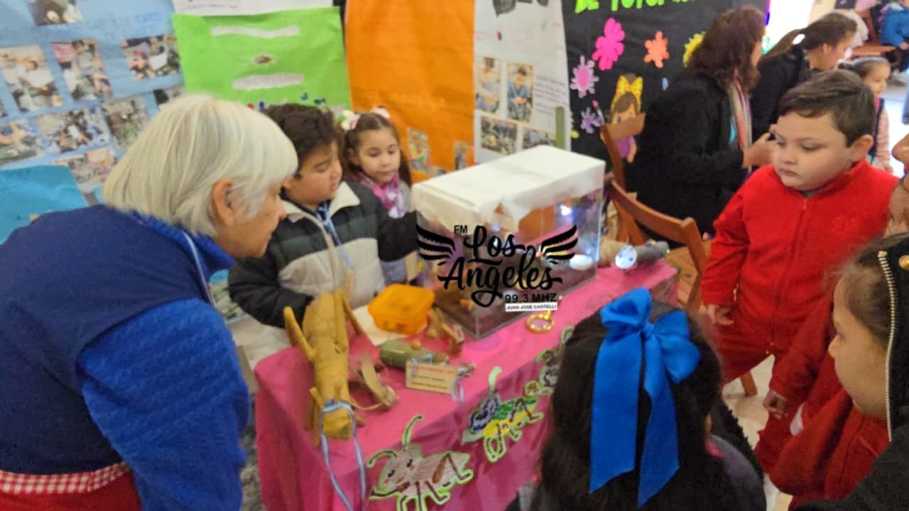 Imagen adicional