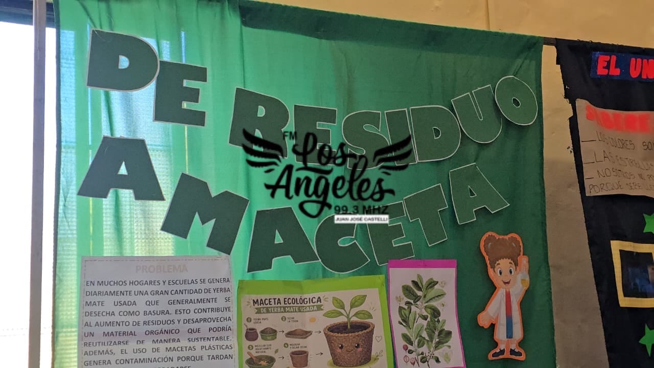 Imagen adicional