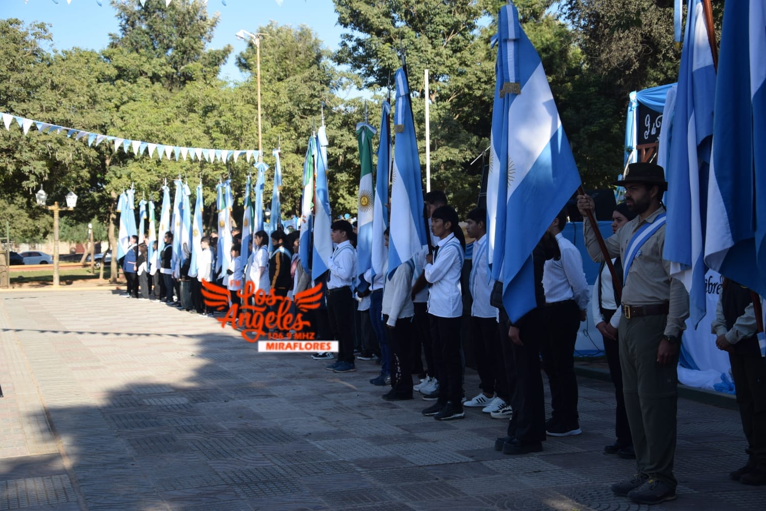 Imagen adicional