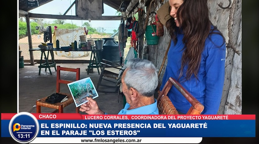 Imagen adicional
