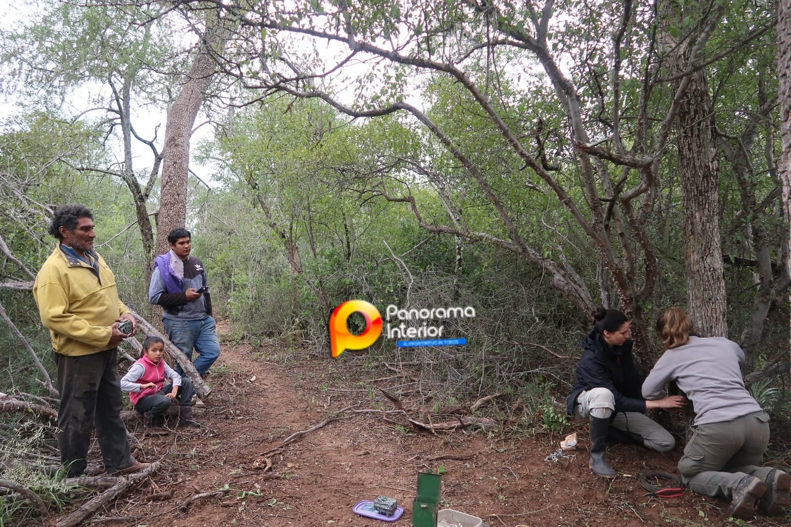 Imagen adicional