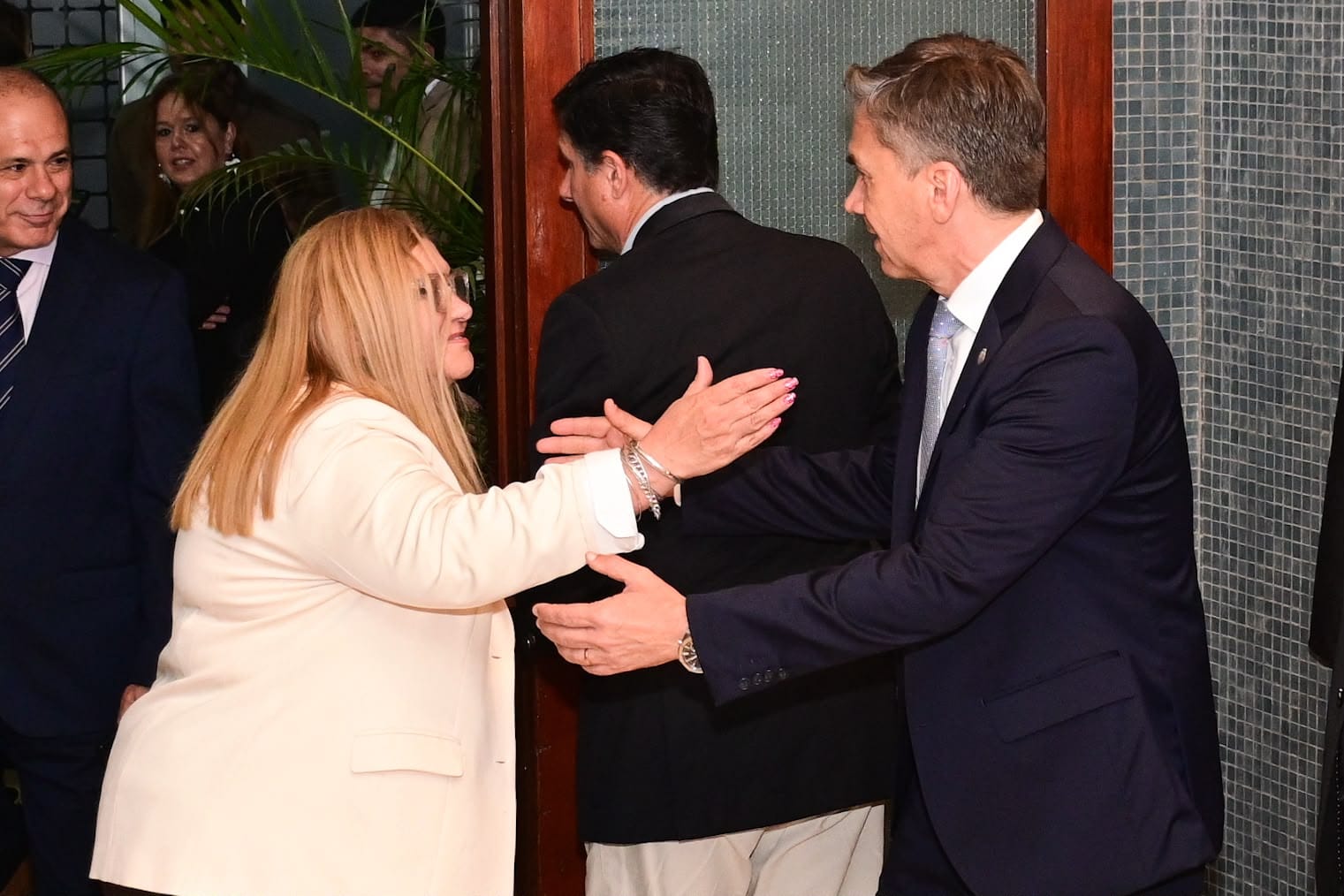 Imagen adicional