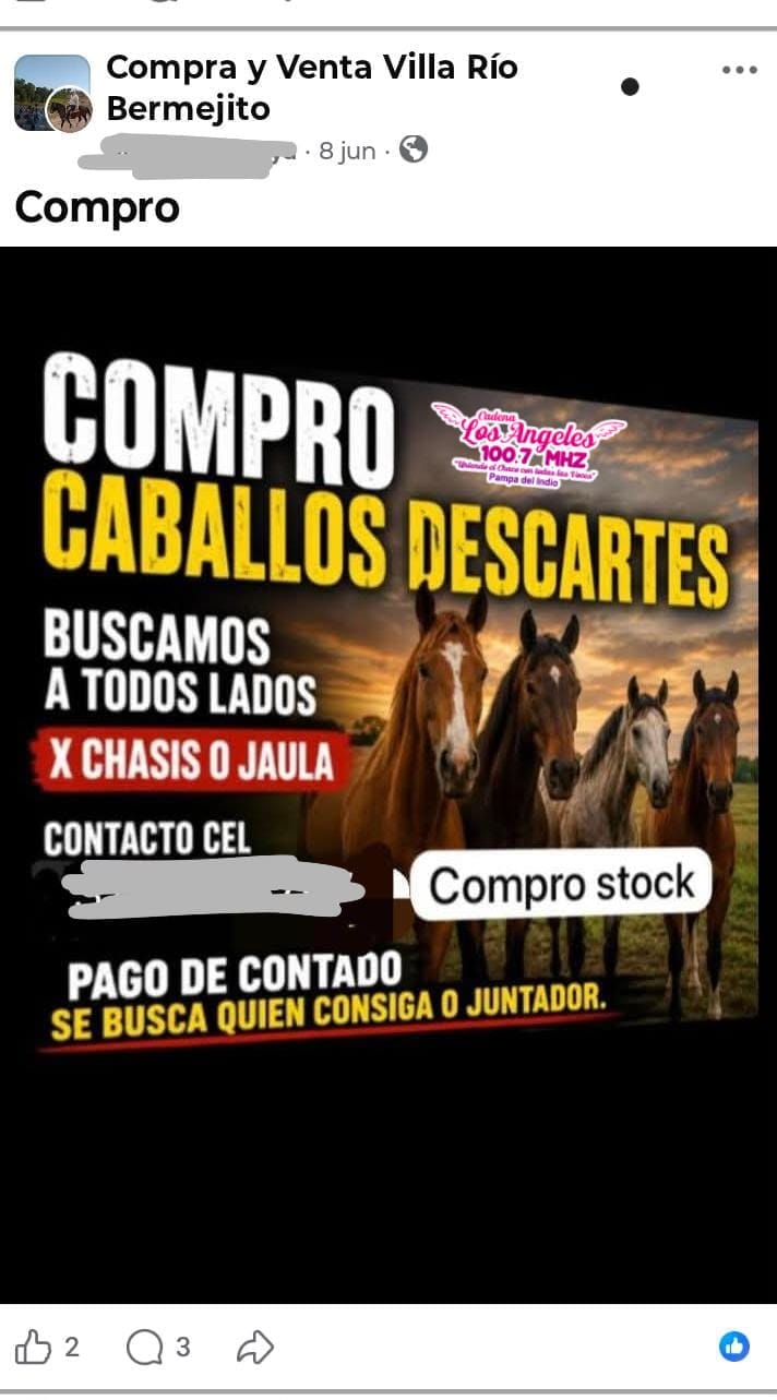 Imagen adicional