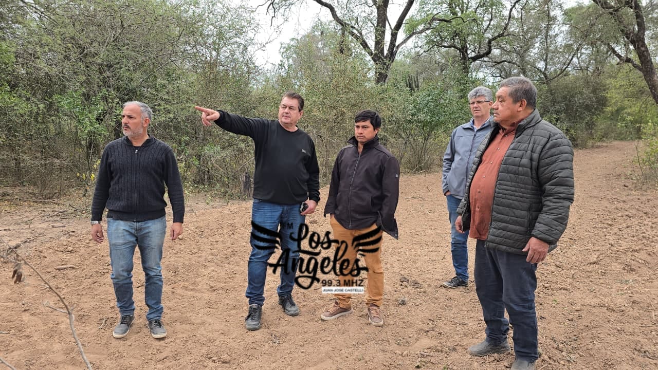 Imagen adicional