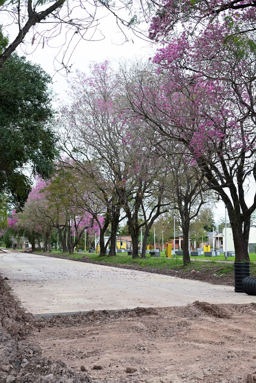 Imagen adicional