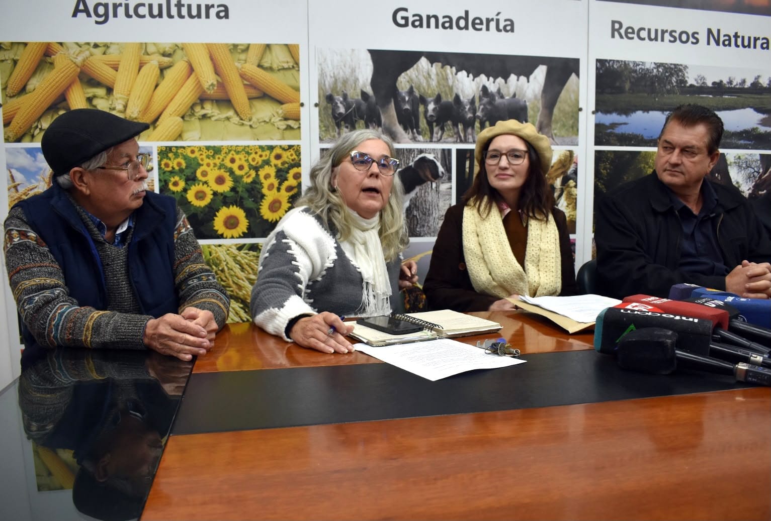 Imagen adicional