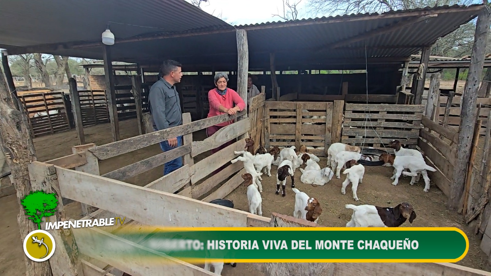 Imagen adicional