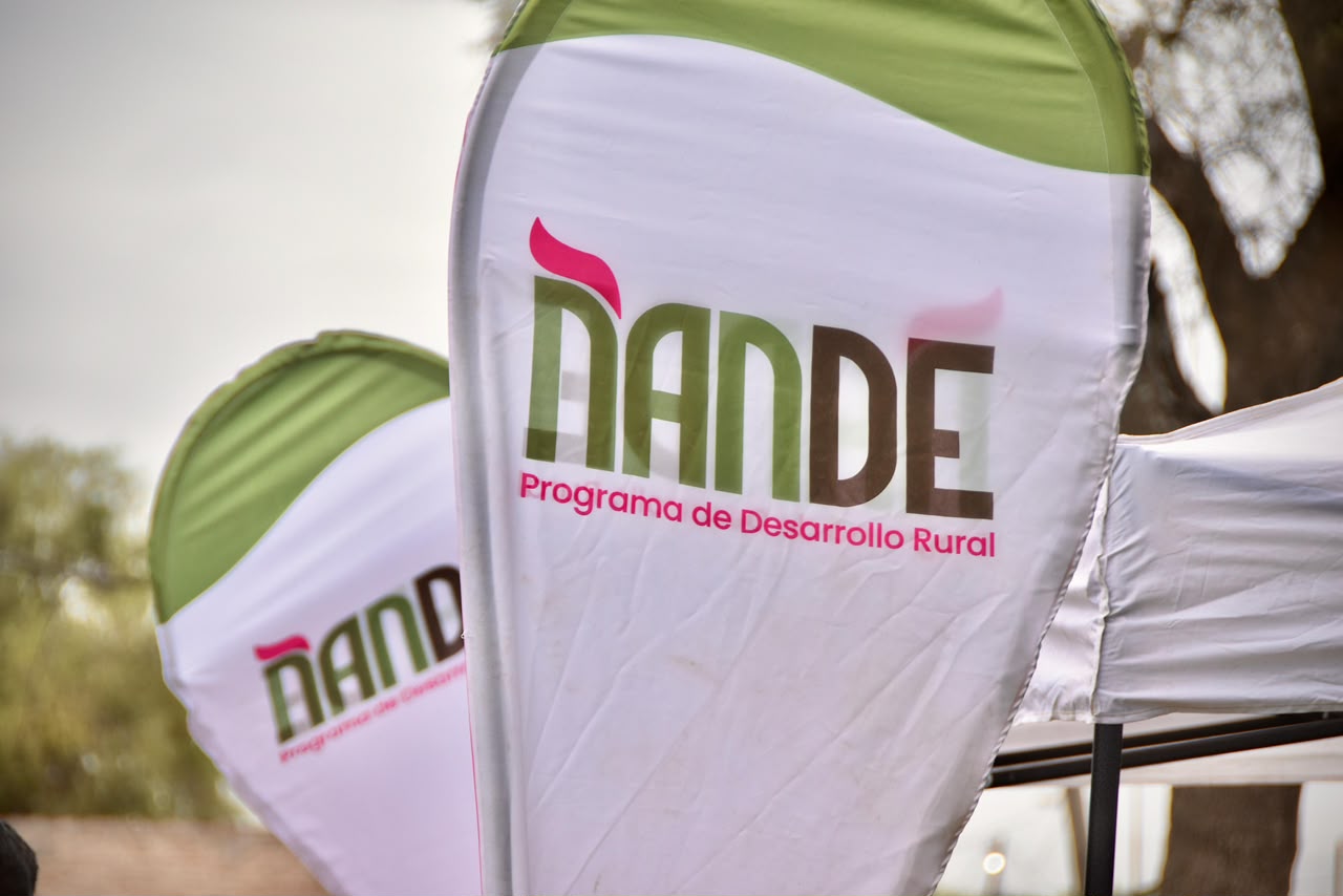 Imagen adicional