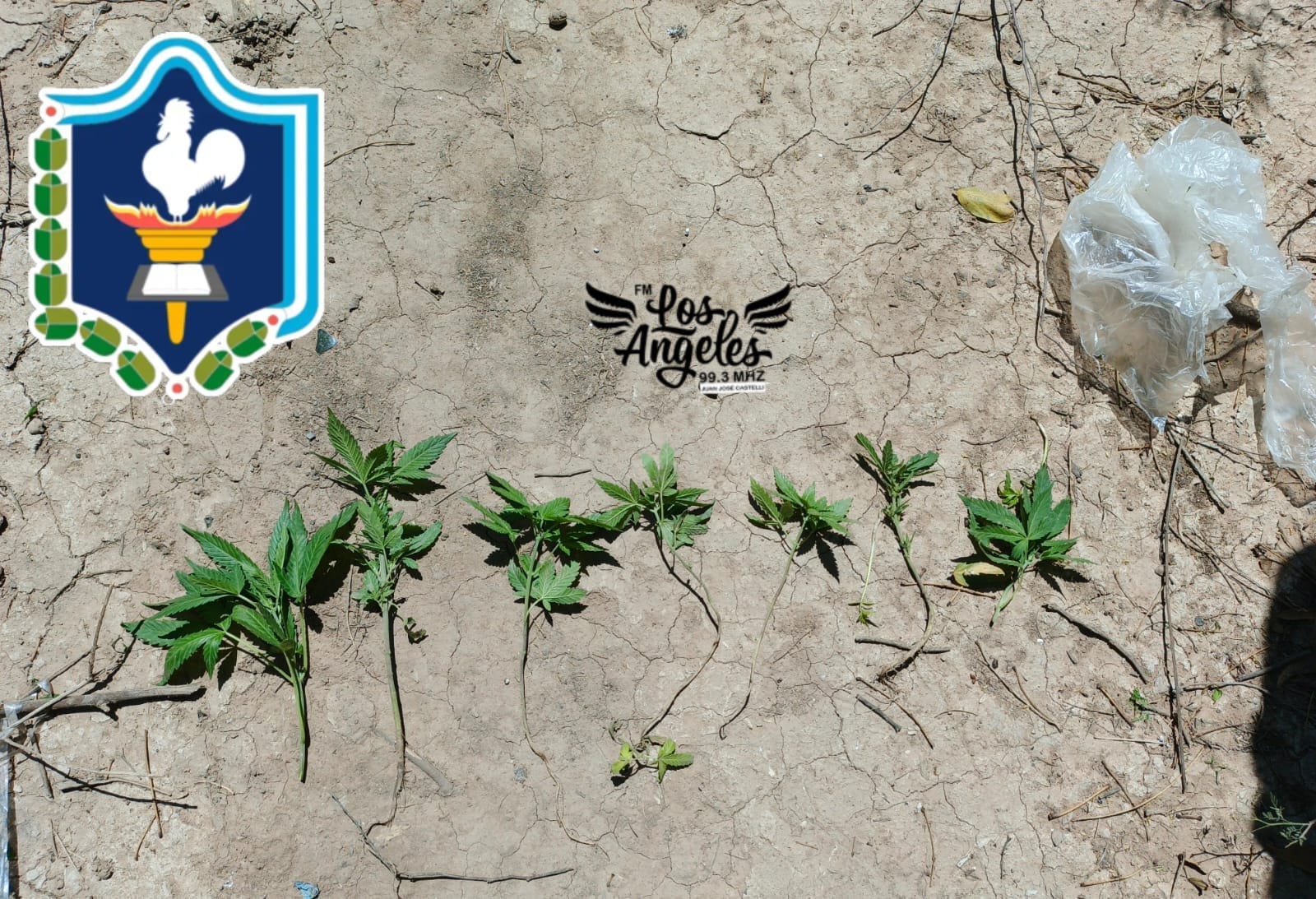 Imagen adicional