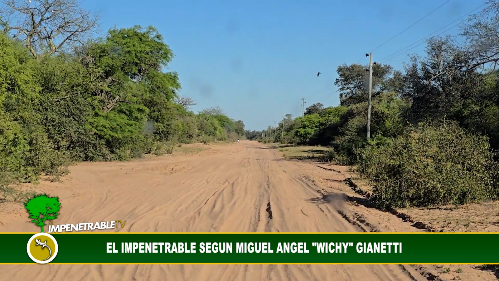 Imagen adicional