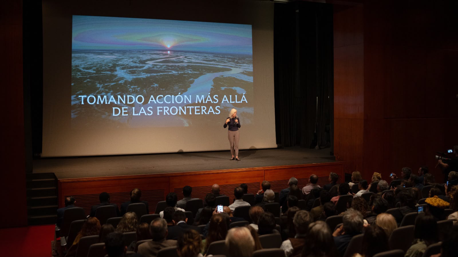 Imagen adicional