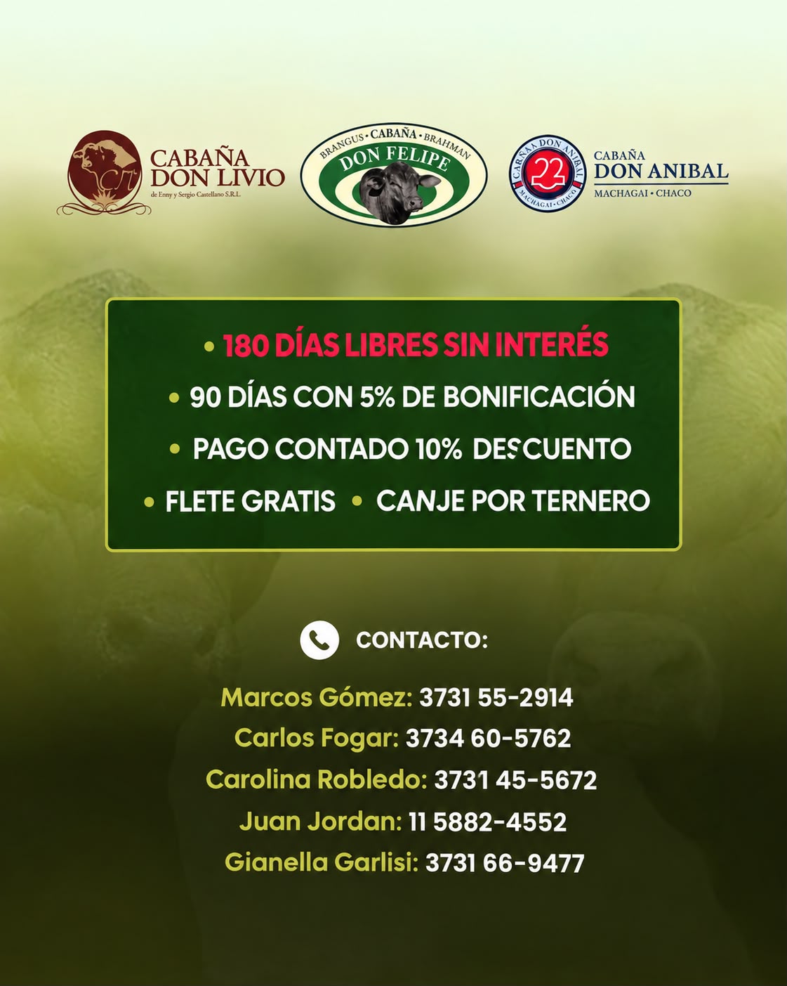 Imagen adicional