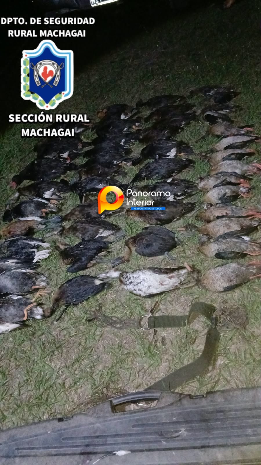 Imagen adicional